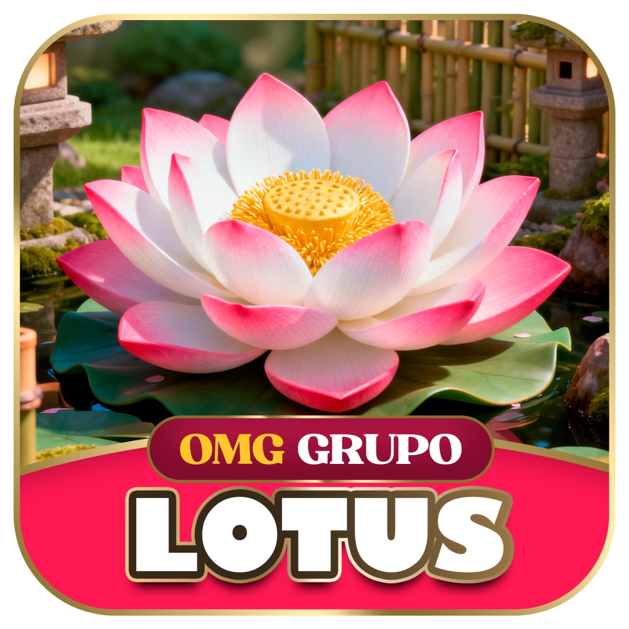 GRUPO OMG LOTUS-PG