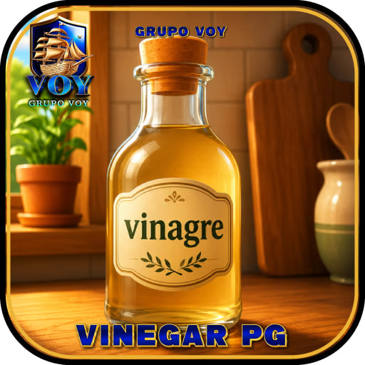 GRUPO VOY VINEGAR-PG